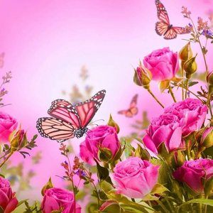 Meet your Posher, Jonna